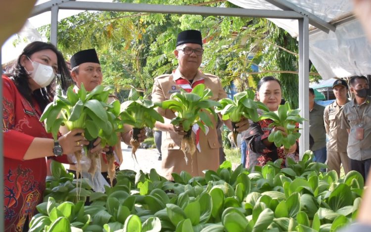 Pj Bupati Kapuas Apresiasi Program Disarpustaka, Berhasil Budidayakan Tanaman Pakcoy