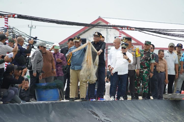 Pj Bupati Kapuas Dampingi Wagub Panen Perdana Udang Vaname di Desa Sei Raja