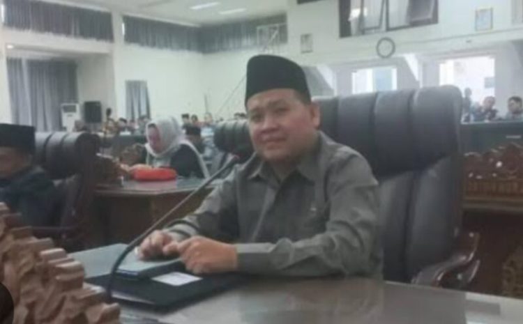 Legislator ini Harapkan Realisasi Pajak Daerah Dapat di Tingkatkan