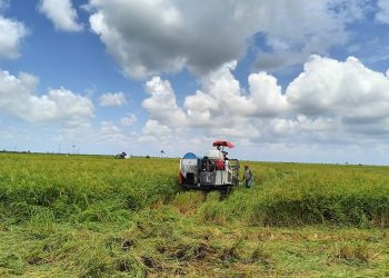 Masuki Musim Tanam, Pemerintah Diminta Perhatikan Kebutuhan Alsintan Petani