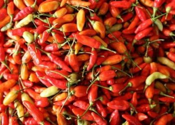 Cabai Rawit Mengalami Kenaikan Pasca Awal Tahun