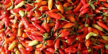 Cabai Rawit Mengalami Kenaikan Pasca Awal Tahun