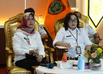 Pemprov Kalteng Ikuti Rapat Penyelesaian Penataan Tenaga Non ASN