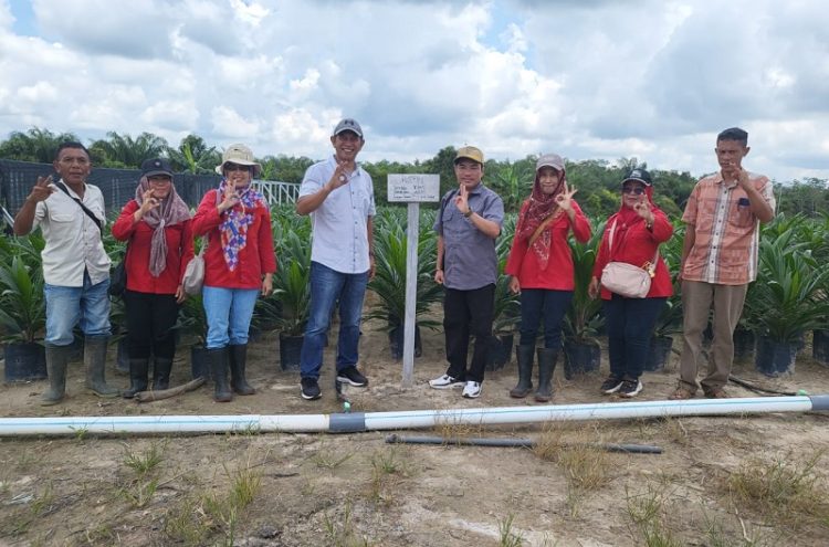 Lakukan Monitoring dan Sertifikasi Benih Kelapa Sawit, Disbun Pastikan Mutu Benih Yang Beredar Sesuai Standar