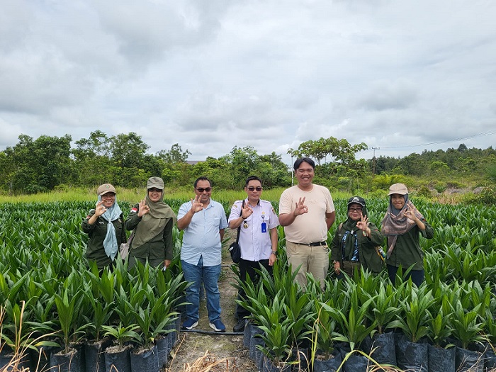 Pastikan Ketersediaan dan Kualitas Benih Unggul, Disbun Prov. Kalteng Lakukan Pengawasan dan Pembinaan Produsen Pembibitan Kelapa Sawit