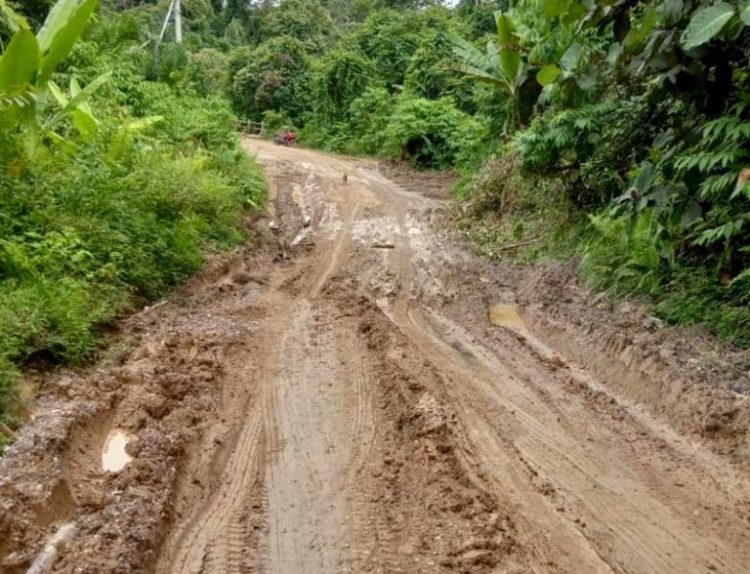 Penanganan Darurat Kerusakan Jalan Simpang 30, Ini Kata Kadis PUPR
