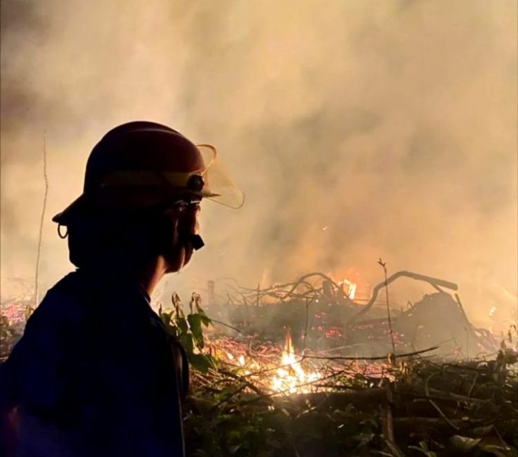 BPBD dan Damkarmat Barut Lakukan Pemadaman Karhutla di Jalan Rapen