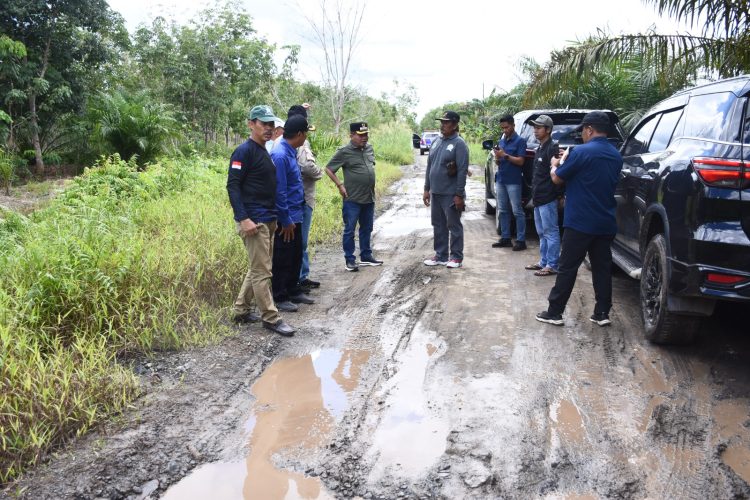 Bupati Kapuas Tinjau Langsung Jalan Poros Kapuas