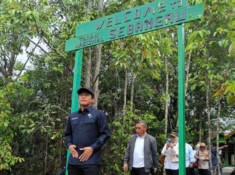 Kepala DLH Dampingi Kunjungan Menteri LHK, Tinjau Pengelolaan Gambut di Taman Nasional Sebangau