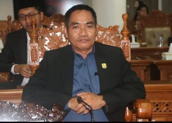 Dewan Apresiasi Pemkab Tinjau Langsung Jalan Rusak di  Kab.Pulang Pisau