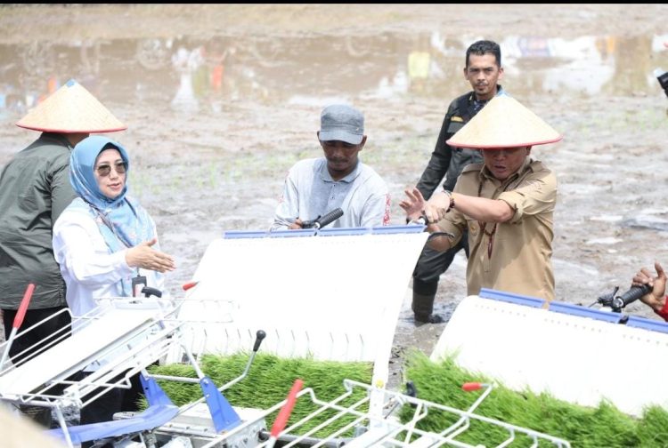 Kadis TPHP Prov. Kalteng Dampingi Kunker Gubernur Kalteng dalam Gerak Tanam Padi Dengan Mekanisasi Pertanian