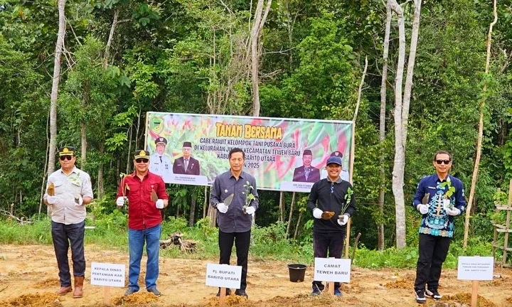 Apresiasi Program Penanaman Cabai untuk Kemandirian Pangan