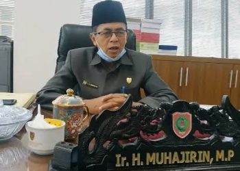 Dewan Dukung Kebijakan Work from Anywhere dan Efisiensi Anggaran Negara