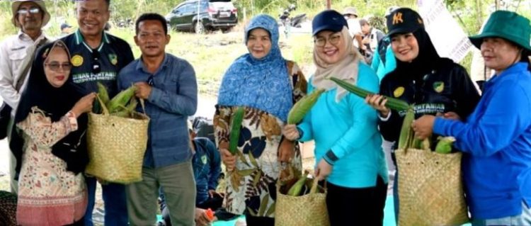 Dampak Tambang PT EBA Harus Segera Dievaluasi, Petani Butuh Solusi Tanggap
