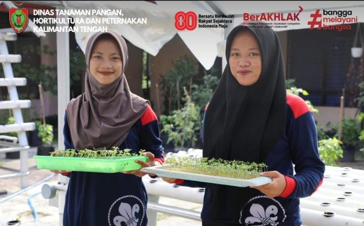Hidroponik Hemat Lahan, Siswa Magang Belajar Produksi Sayuran Sehat