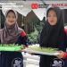 Hidroponik Hemat Lahan, Siswa Magang Belajar Produksi Sayuran Sehat