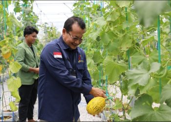 Dinas TPHP Prov Kalteng Jalin Kerjasama Smart Farming dengan UPN Yogyakarta, Untuk Tingkatkan Produksi Hortikultura