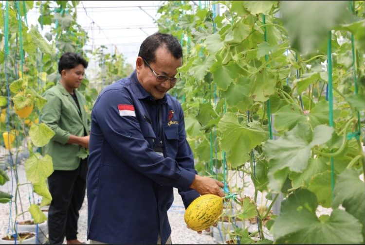 Dinas TPHP Prov Kalteng Jalin Kerjasama Smart Farming dengan UPN Yogyakarta, Untuk Tingkatkan Produksi Hortikultura