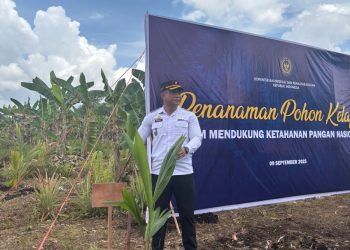 Dukung Ketahanan Pangan, Karutan Kuala Kapuas Ikuti Penanaman Pohon Kelapa Bersama Kanwil Ditjenpas Kalteng