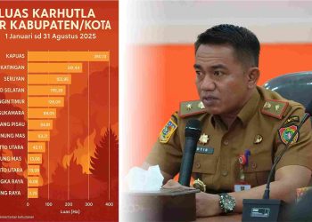 BPBD Prov.Kalteng Catat Luas Karhutla di Wilayah Kalteng, Perkuat 77 Poslap