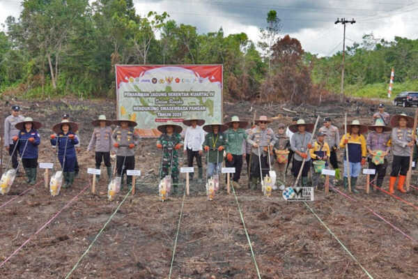 Dukung Program Swasembada Pangan, Pemkab Mura Ikut Tanam Jagung secara Serentak