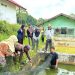 DKPP Barut Gelar Panen Bibit Ikan