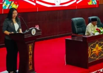 Transparansi Anggaran Daerah Disorot: PDIP Murung Raya Pertanyakan Efektivitas APBD