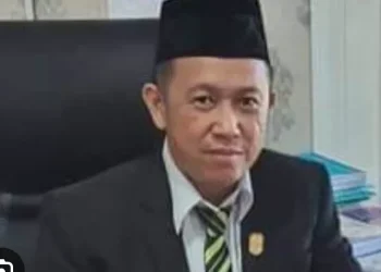 Dewan Desak Pemda Perkuat SDM Tenaga Kesehatan di Wilayah Pedesaan
