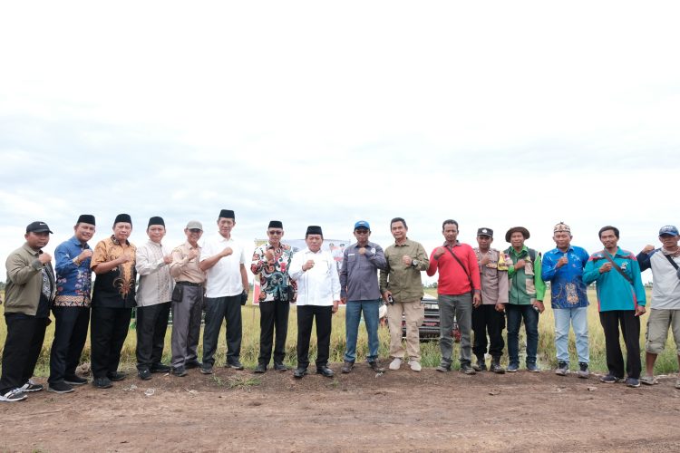 Bupati Kapuas Laksanakan Salat Jumat Berjamaah Sekaligus Hadiri Kegiatan Panen Raya di Desa Terusan Karya