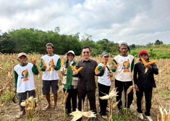 H. Taufik Nugraha Tindak Lanjut Aspirasi Petani Jagung Hibrida di Kelurahan Melayu