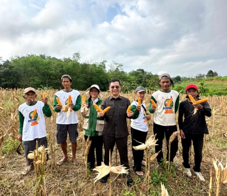 H. Taufik Nugraha Tindak Lanjut Aspirasi Petani Jagung Hibrida di Kelurahan Melayu