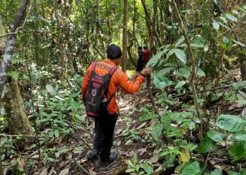 BPBD Barut Hentikan Sementara Operasi Pencarian Lansia Hilang