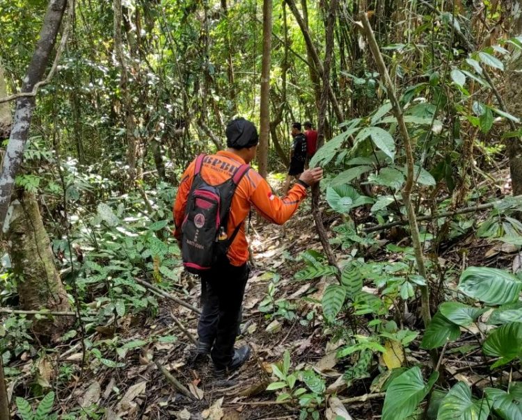 Operasi pencarian lansia terhadap dihentikan sementara