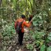 Operasi pencarian lansia terhadap dihentikan sementara