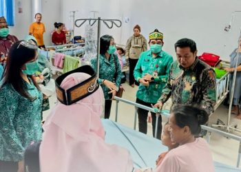 Wabup Barut Apresiasi Dedikasi Tim Medis Tangani Bayi Terindikasi Stunting