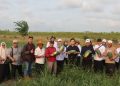 Kemarau Jadi Peluang, Seruyan Dorong Hortikultura Bernilai Ekonomis