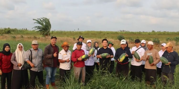Kemarau Jadi Peluang, Seruyan Dorong Hortikultura Bernilai Ekonomis