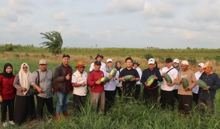 Kemarau Jadi Peluang, Seruyan Dorong Hortikultura Bernilai Ekonomis