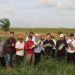 Kemarau Jadi Peluang, Seruyan Dorong Hortikultura Bernilai Ekonomis