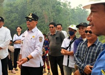 Koordinasi Antara Pemerintah Daerah, DPRD, PLN dan Pemerintah Desa Perlu Diperkuat Agar Pembangunan Jaringan Listrik Dapat Berjalan Lebih Cepat