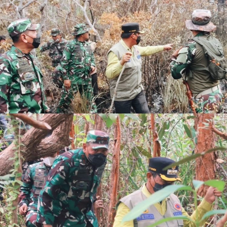 Bupati Seruyan dan TNI Turun ke Titik Api Tanjung Puting, Perkuat Penanganan Karhutla
